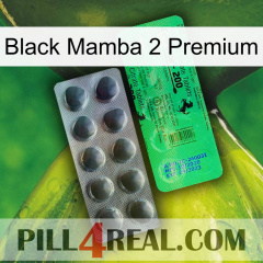 Black Mamba 2 Premium new04